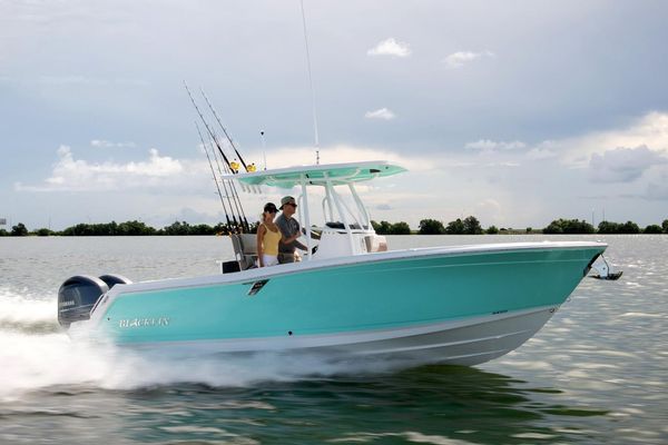 Blackfin 252 CC - main image