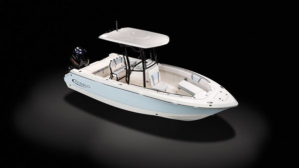 Robalo R230 Center Console