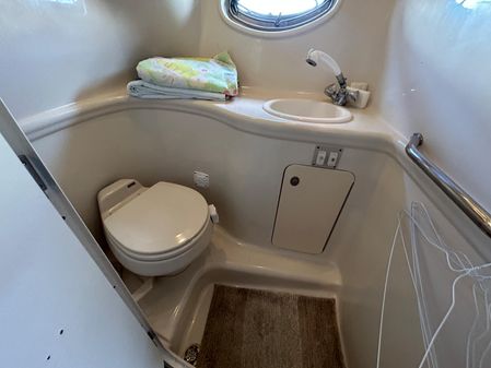 Sea-ray 290-AMBERJACK image