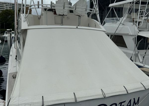 Viking 54 Convertible image