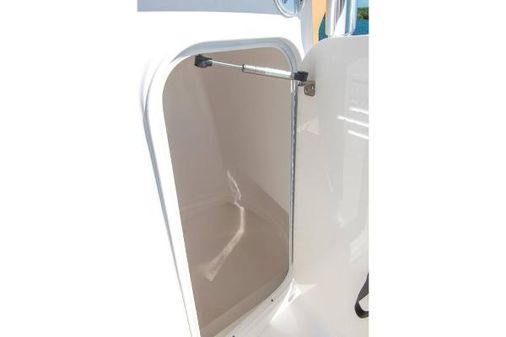 Contender 24-SPORT image