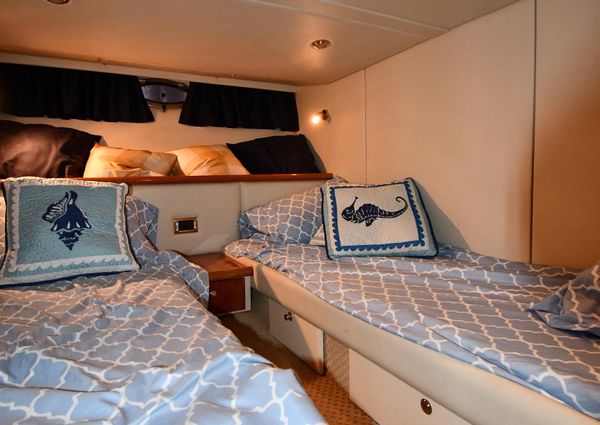 Sunseeker CAMARGUE-47 image