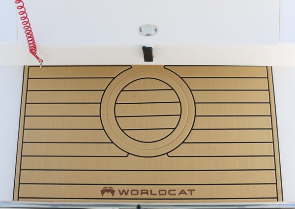 World-cat 325-CC image