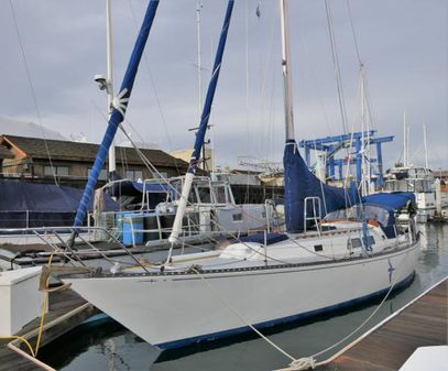 Newport 41 image
