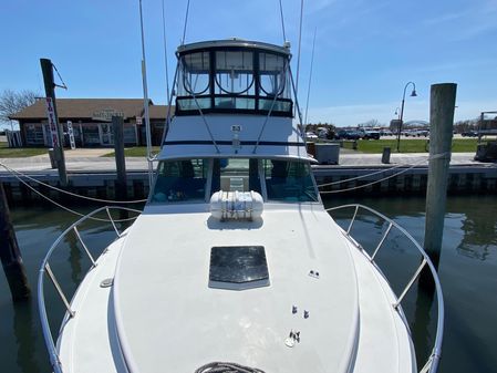 Bertram 35 Flybridge image