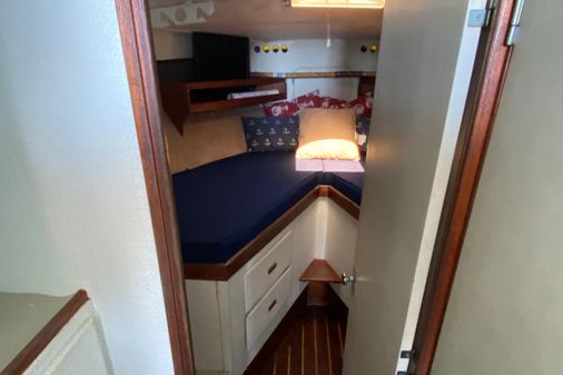 Bertram 35 Flybridge image