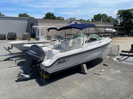 Boston-whaler VENTURA-210 - main image