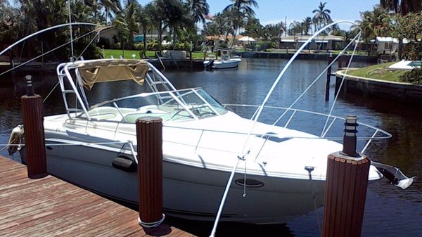 Sea Ray Amberjack