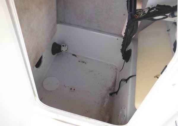 Seaswirl STRIPER-2101-CENTER-CONSOLE-O-B image