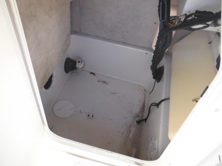 Seaswirl STRIPER-2101-CENTER-CONSOLE-O-B image