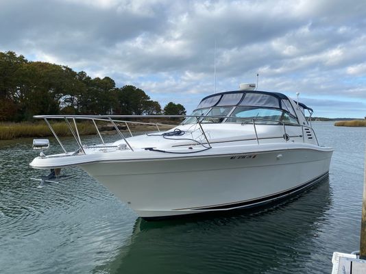 Sea Ray 340 Amberjack - main image