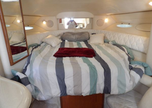 Sea Ray 340 Sundancer image