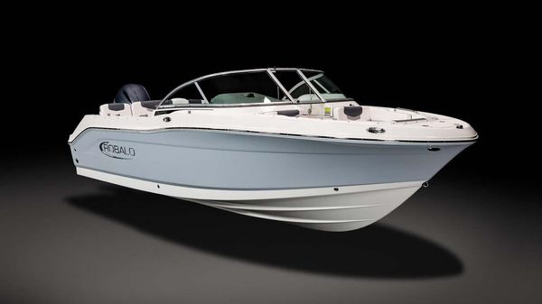Robalo R207 Dual Console