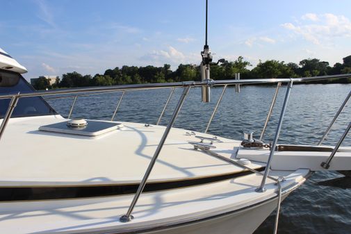 Bertram 33II Flybridge Cruiser image