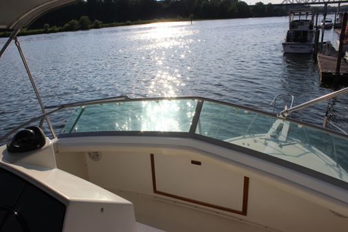 Bertram 33II Flybridge Cruiser image