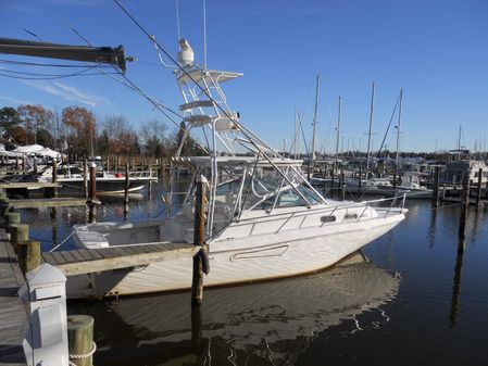 Boston Whaler 34 Defiance W 420 YANMARS image