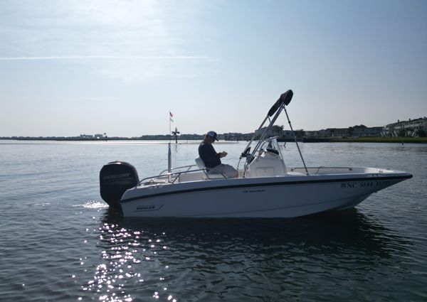 Boston-whaler 170-DAUNTLESS image