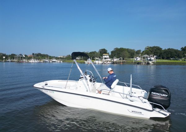 Boston-whaler 170-DAUNTLESS image