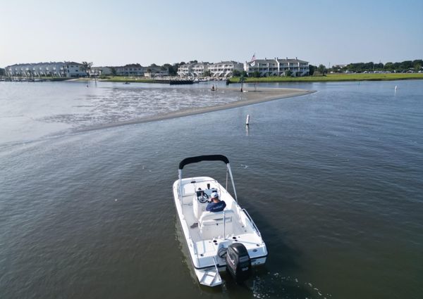 Boston-whaler 170-DAUNTLESS image