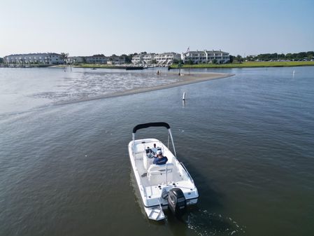 Boston-whaler 170-DAUNTLESS image