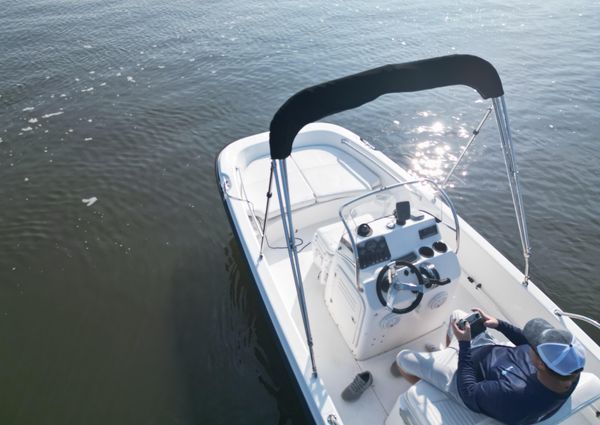 Boston-whaler 170-DAUNTLESS image