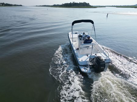 Boston-whaler 170-DAUNTLESS image