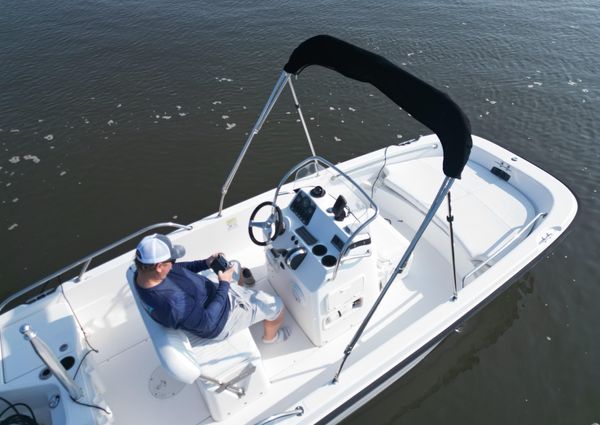 Boston-whaler 170-DAUNTLESS image