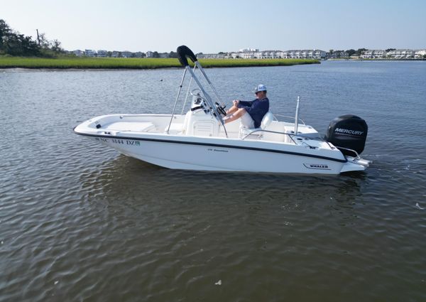 Boston-whaler 170-DAUNTLESS image