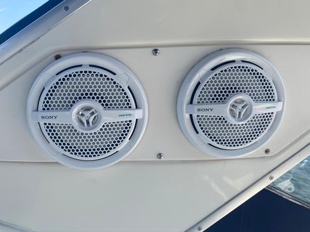 Bayliner 305 image