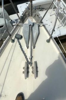 Douglas 32 image