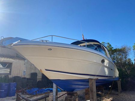 Sea Ray 295 image