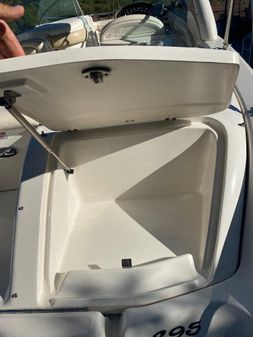 Sea Ray 295 image