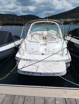 Sea Ray 295 image