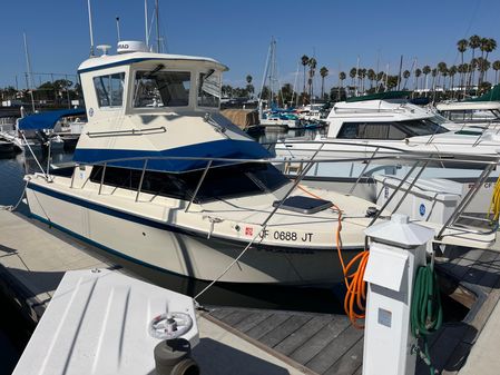 Skipjack 25-FLYBRIDGE image