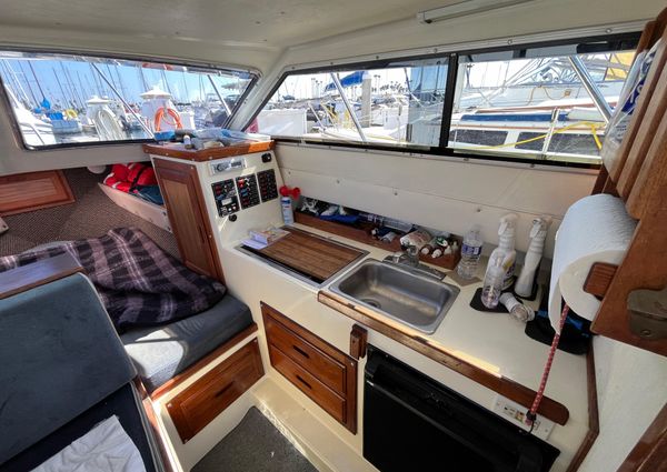 Skipjack 25-FLYBRIDGE image