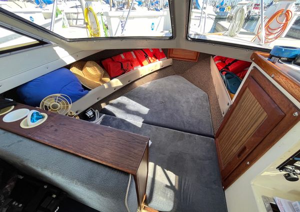 Skipjack 25-FLYBRIDGE image