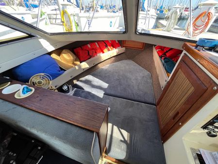 Skipjack 25-FLYBRIDGE image