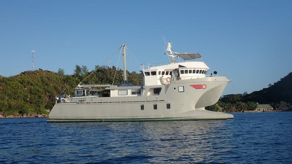 Custom Bon Pelley catamaran 