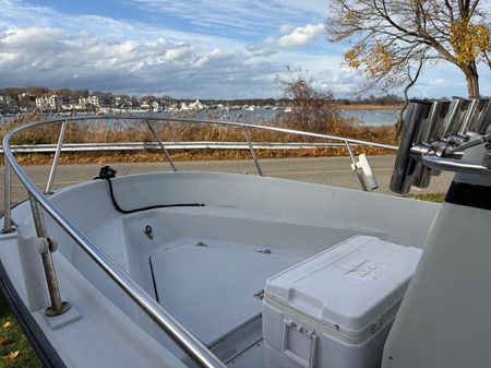 Boston-whaler GUARDIAN-18 image