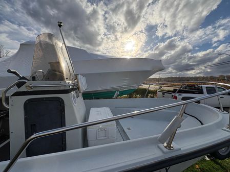 Boston-whaler GUARDIAN-18 image