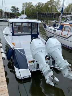 True North 34 Outboard Express image