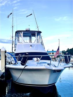 Luhrs 400 Tournament image