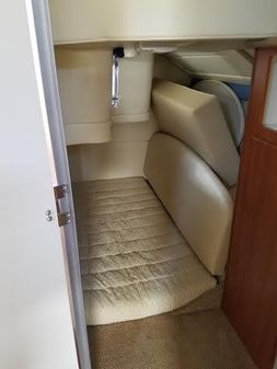 Bayliner 285-CIERA-SUNBRIDGE image