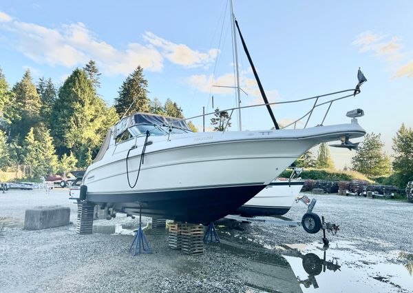 Sea Ray 300 Sundancer image