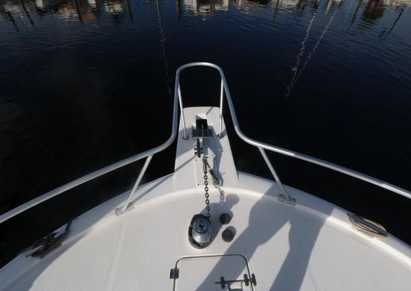 Luhrs 40-CONVERTIBLE image