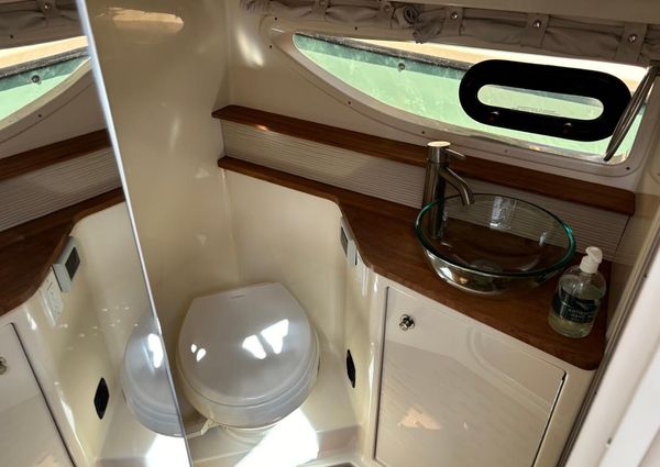 Sea Ray Sundancer 350 Coupe image