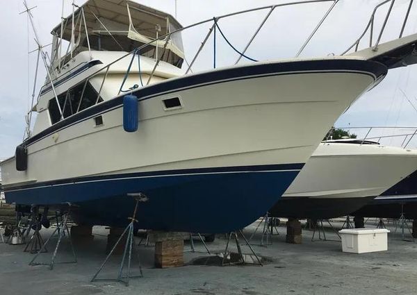 Hatteras 41-CONVERTIBLE image