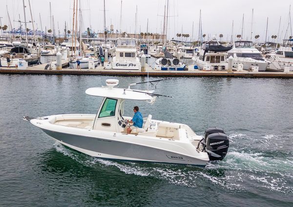 Boston-whaler 250-OUTRAGE image