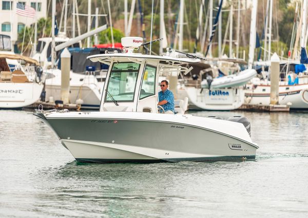 Boston-whaler 250-OUTRAGE image