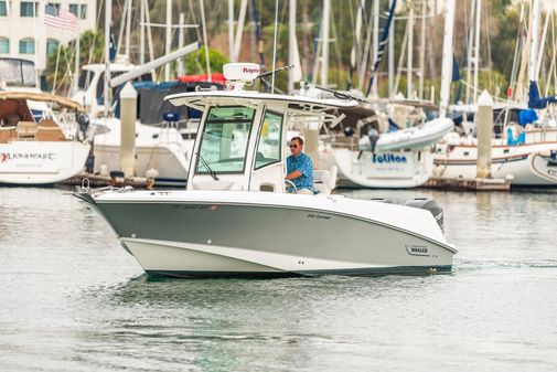 Boston-whaler 250-OUTRAGE image